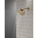 52401-CZ Bathroom/Bathroom Tub & Shower Faucets/Showerheads