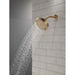 52401-CZ Bathroom/Bathroom Tub & Shower Faucets/Showerheads