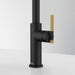 STR-PD-MBG Kitchen/Kitchen Faucets/Pull Down Spray Faucets