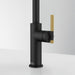 STR-SP-MBG Kitchen/Kitchen Faucets/Pull Down Spray Faucets