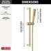 51809-CZ-PR Bathroom/Bathroom Tub & Shower Faucets/Handshowers