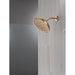 52913-CZ-PR Bathroom/Bathroom Tub & Shower Faucets/Showerheads