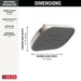 52955-SS-PR Bathroom/Bathroom Tub & Shower Faucets/Showerheads