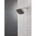 52955-SS-PR Bathroom/Bathroom Tub & Shower Faucets/Showerheads