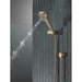 55913-CZ-PR Bathroom/Bathroom Tub & Shower Faucets/Handshowers