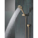 55913-CZ-PR Bathroom/Bathroom Tub & Shower Faucets/Handshowers