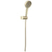 55913-PN-PR Bathroom/Bathroom Tub & Shower Faucets/Handshowers