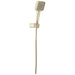 55914-PN-PR Bathroom/Bathroom Tub & Shower Faucets/Handshowers