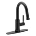 6605BL Kitchen/Kitchen Faucets/Pull Down Spray Faucets