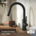 6605BL Kitchen/Kitchen Faucets/Pull Down Spray Faucets