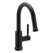 6605BL Kitchen/Kitchen Faucets/Pull Down Spray Faucets