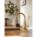 6605BZG Kitchen/Kitchen Faucets/Pull Down Spray Faucets