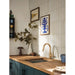 6605BZG Kitchen/Kitchen Faucets/Pull Down Spray Faucets