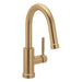 6605BZG Kitchen/Kitchen Faucets/Pull Down Spray Faucets