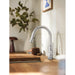 6605C Kitchen/Kitchen Faucets/Pull Down Spray Faucets
