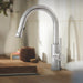 6605C Kitchen/Kitchen Faucets/Pull Down Spray Faucets