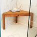 BEN514 Bathroom/Bathroom Accessories/Bath Seats & Benches