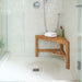 BEN529 Bathroom/Bathroom Accessories/Bath Seats & Benches