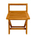 BEN560 Bathroom/Bathroom Accessories/Bath Seats & Benches