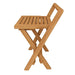 BEN560 Bathroom/Bathroom Accessories/Bath Seats & Benches