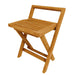 BEN560 Bathroom/Bathroom Accessories/Bath Seats & Benches
