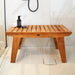 BEN572 Bathroom/Bathroom Accessories/Bath Seats & Benches
