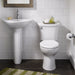 0041000.020 Bathroom/Bathroom Sinks/Pedestal & Console Bases Only