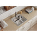 ESE2020101 Kitchen/Kitchen Sinks/Drop in Kitchen Sinks