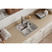 ESE2020103 Kitchen/Kitchen Sinks/Drop in Kitchen Sinks