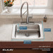 LRAD221965MR2 Kitchen/Kitchen Sinks/Drop in Kitchen Sinks