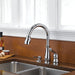 978-SD-DST Kitchen/Kitchen Faucets/Pull Down Spray Faucets