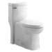 735148-400.020 Parts & Maintenance/Toilet Parts/Toilet Tank Covers