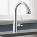 04215000 Kitchen/Kitchen Faucets/Pull Down Spray Faucets