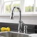 9978-DST Kitchen/Kitchen Faucets/Bar & Prep Faucets