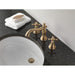 H295CZ Parts & Maintenance/Bathroom Sink & Faucet Parts/Bathroom Sink Faucet Handles & Handle Parts
