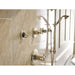 H597PN Parts & Maintenance/Bathroom Sink & Faucet Parts/Bathroom Sink Faucet Handles & Handle Parts