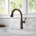 9197-PR-DST Kitchen/Kitchen Faucets/Pull Out Spray Faucets