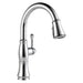 9197-PR-DST Kitchen/Kitchen Faucets/Pull Out Spray Faucets