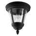P3883-31 Lighting/Outdoor Lighting/Outdoor Pendants