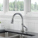 978-AR-DST Kitchen/Kitchen Faucets/Pull Down Spray Faucets