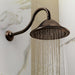 RP52090RB Bathroom/Bathroom Tub & Shower Faucets/Showerheads