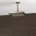 83341-BN Bathroom/Bathroom Tub & Shower Faucets/Showerheads
