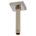 RP70764PN Parts & Maintenance/Bathtub & Shower Parts/Shower Arms