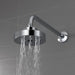 RP71648BL Parts & Maintenance/Bathtub & Shower Parts/Shower Arms