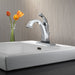 551T-DST Bathroom/Bathroom Sink Faucets/Hands Free Faucets