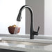 9113-AR-DST Kitchen/Kitchen Faucets/Pull Down Spray Faucets