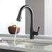 9113-BL-DST Kitchen/Kitchen Faucets/Pull Down Spray Faucets