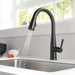 9113T-BL-DST Kitchen/Kitchen Faucets/Pull Down Spray Faucets