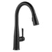 9113T-BL-DST Kitchen/Kitchen Faucets/Pull Down Spray Faucets