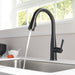 9113T-RB-DST Kitchen/Kitchen Faucets/Pull Down Spray Faucets